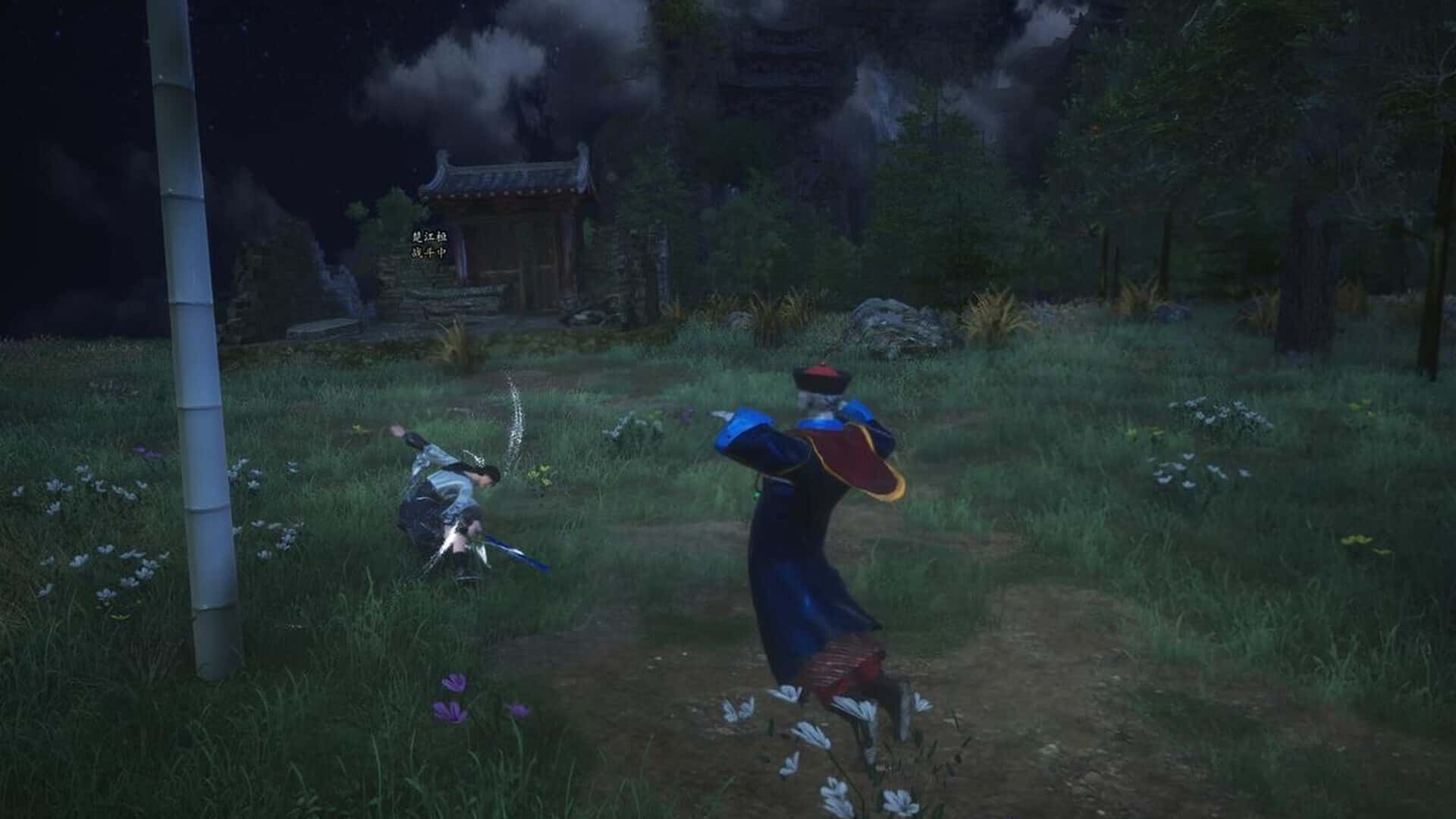 视觉数据5